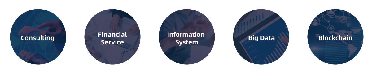 網站圖表英文帶字_畫板 1 副本 13.png